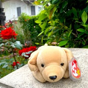 Ty Fetch the doggie 🐶 Beanie baby #22